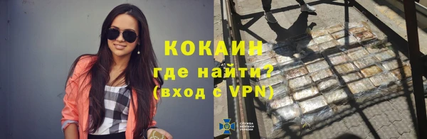 шишки Каменногорск