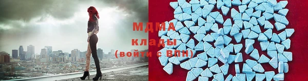 шишки Каменногорск