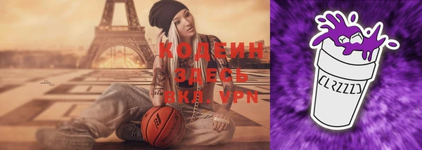 шишки Каменногорск