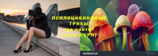 метадон Каменка