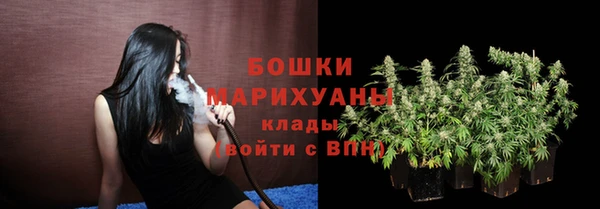 шишки Каменногорск