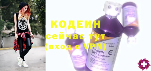 шишки Каменногорск