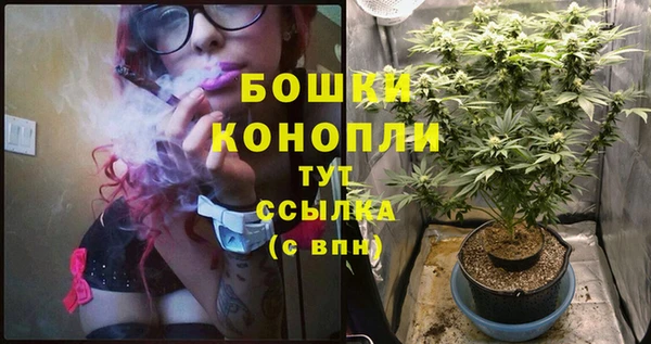 метадон Каменка