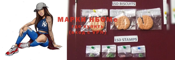 шишки Каменногорск