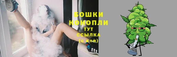 соль ск Инсар