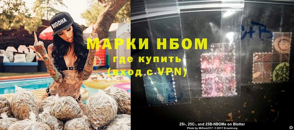 шишки Каменногорск