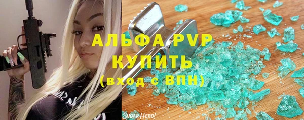 шишки Каменногорск