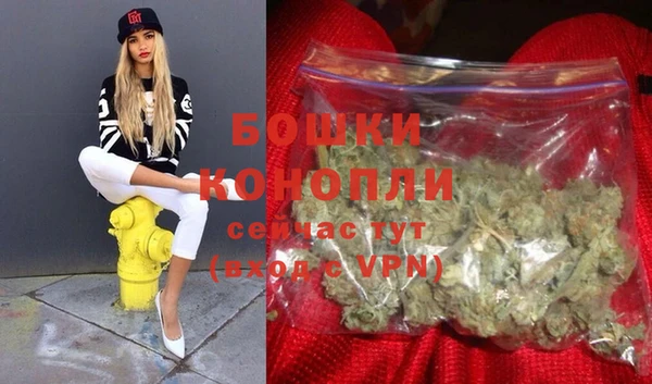 метадон Каменка