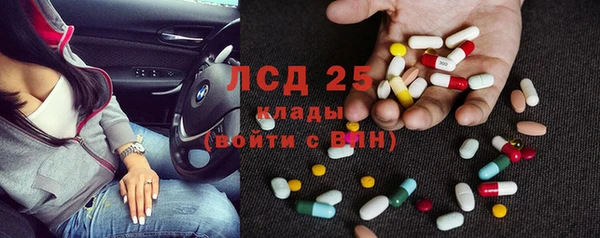 шишки Каменногорск