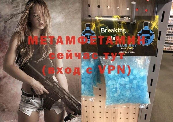 шишки Каменногорск